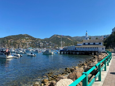 The calm waters of Catalina's Avalon Harbor with the moored boats in the background.