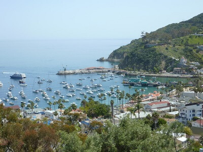 View of the boats in Catalina's Avalon Harbor.